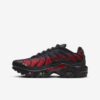 Nike Air Max Plus